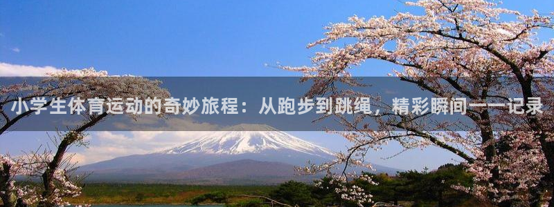 海南J9官网下载:小学生体育运动的奇妙旅程:从跑步到跳绳,精